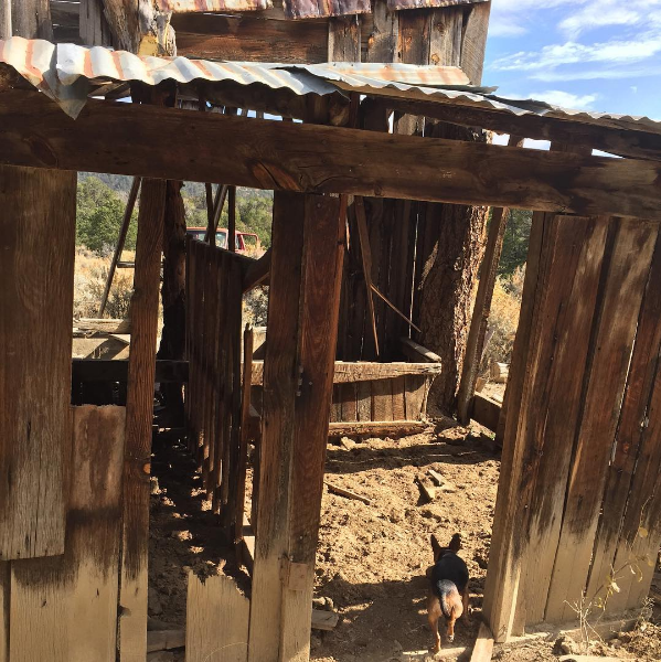 dictionary of new mexico and southern colorado spanish sahalee off grid
