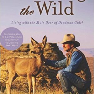 living with the mule deer sahalee off grid