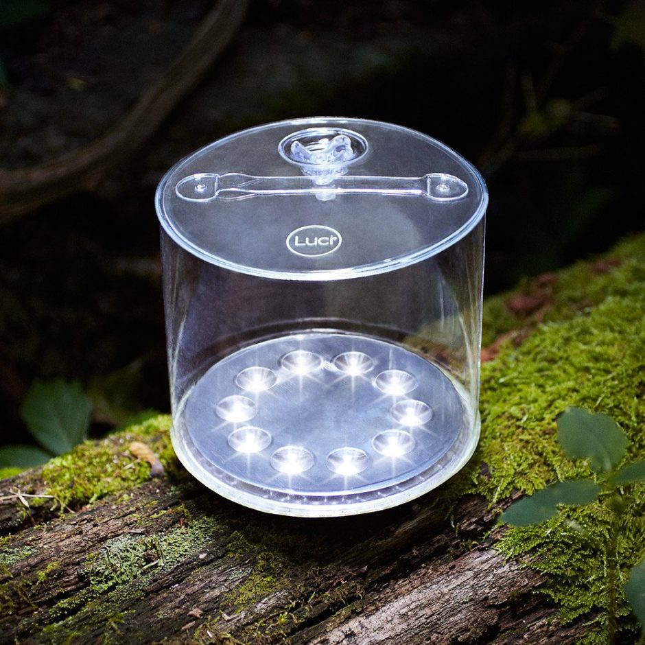 Bright solar light sitting on mossy tree