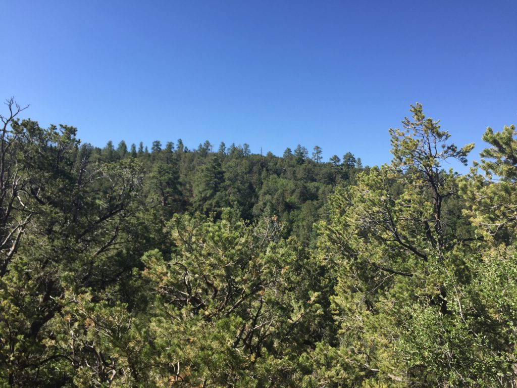 Sahalee Off Grid New Mexico